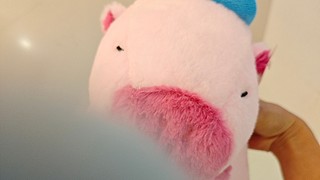 小小雨l的直播间