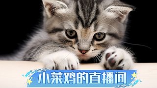 爱烟小菜鸡直播间
