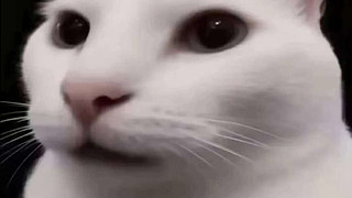 用户8660770335的直播间4302