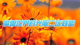 时光菜逼生存猎练级中