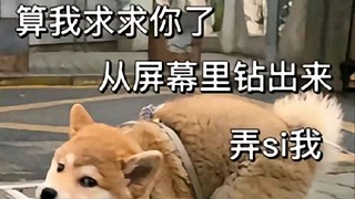 Power的直播间 7750136