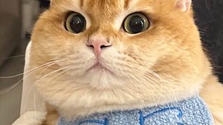 今天海克斯了吗