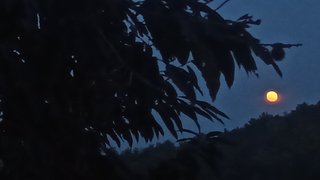 枣！咱别闹了！