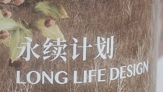 雀魂|虎啸而狂风至兮，龙举而景云往