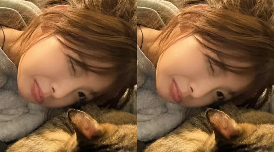 新人主播开播第一天你会陪我的对吗