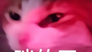 为什么会卡我天数啊