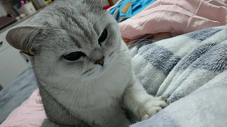 用户1543057897的直播间