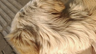 希望可以欧皇一次的直播间