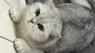 神秘天津话的直播间