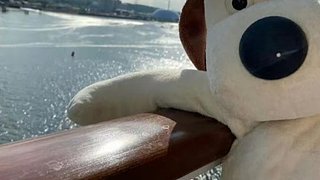 ll738235375的直播间