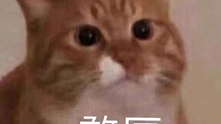 哈哈拉电线上班