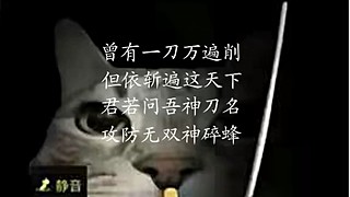 双人惊变100天。