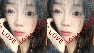 猫猫在等哥哥们回家