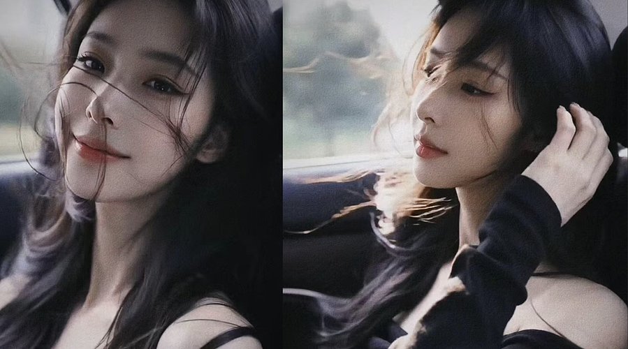 臣这一生颠沛流离