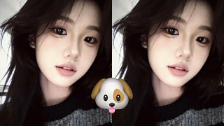 天选小狗无人认领థ౪థ&nbsp;