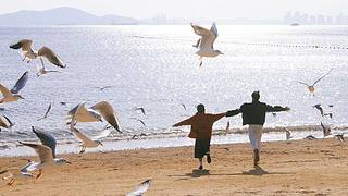 【新厅】重生之厅管不在 全员发疯