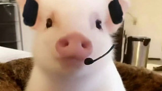 新人主播求关注 12814179