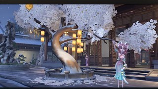 桐啊仔的直播间