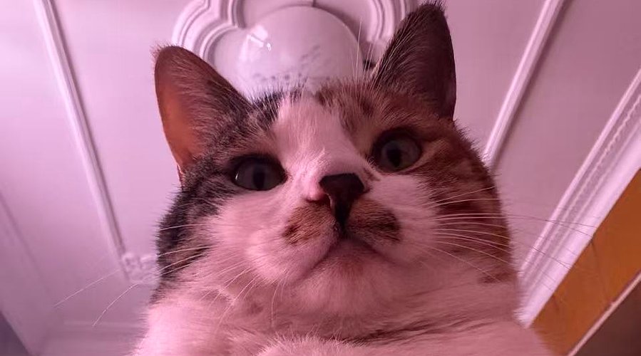 一日传说-第二日