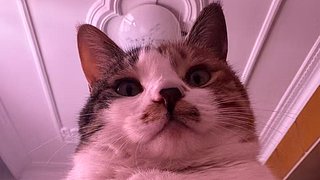 先上传说，然后jjc