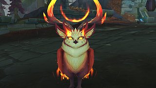 野德闪电战之周四