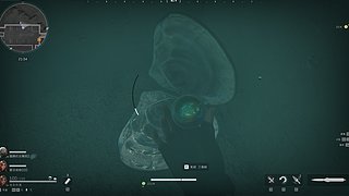 挑战百天摸20颗泪