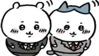 oi 燕子！没有你我可怎么活！