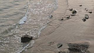 知鱼柒的直播间