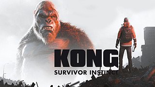 金刚绝境求生初体验