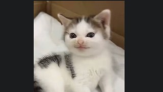 用户3301034142的直播间