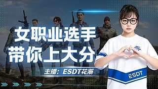 破碎伤感和平精英女职业