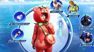 小番茄小丑木乃伊补货通知