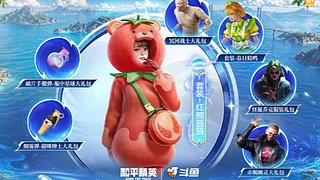番茄小丑木乃伊补货通知