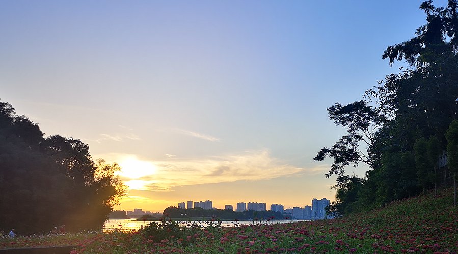 TheF0x的直播间