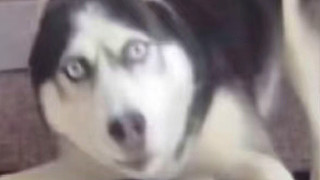 用户8815995314的直播间2989