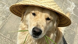 与你编织的谎言的直播间