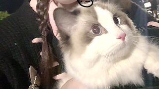 久颜39334的直播间