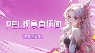看PEL季后赛赛
