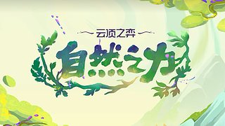【CSTG】阿乐的游戏教室