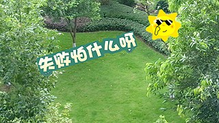 但闻人语响