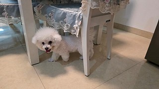 灿团S7我来啦～