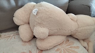 不会玩的菜鸟 12901894