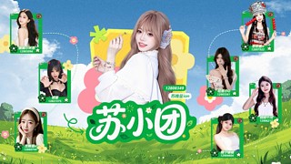 苏小团开始营业！！！