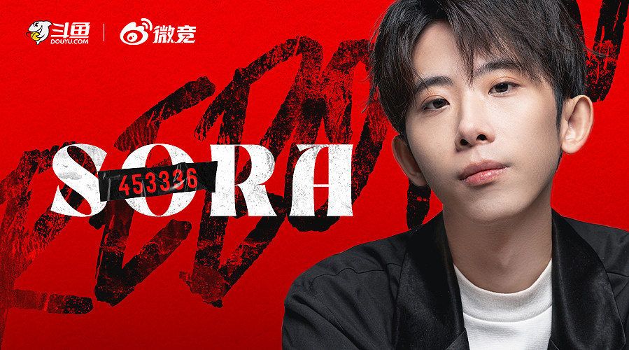 Sora：我是高手