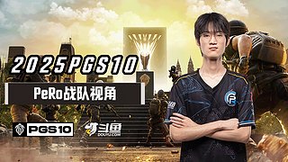 【PGS10】PeRo战队视角