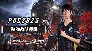【PGC2025】PeRo战队视角
