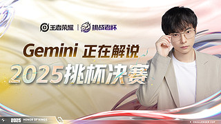 Gemini：决赛WB VS RW