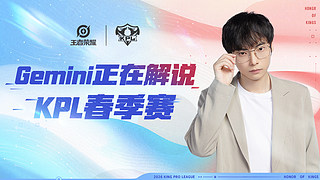 Gemini：Hero VS TES