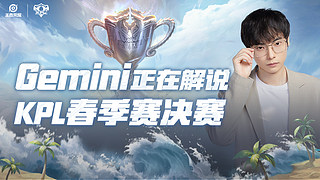Gemini：决赛KSG VS 狼队
