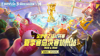 公开赛夏季赛-总决赛